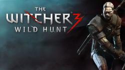 Компьютерная игра The Witcher 3: Wild Hunt