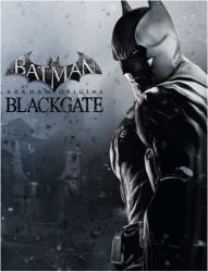 Batman: Arkham Origins Blackgate - Deluxe Edition (2014) (SteamRip R.G. Игроманы) PC