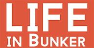 Life in Bunker (2016/Лицензия) PC Life in Bunker (2016/Лицензия) PC