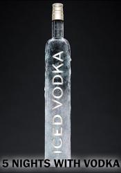 5 NIGHTS WITH VODKA (2016) PC