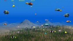Sea Fish (2013) PC