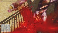 Border Of Insanity 2 (2018) PC