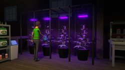 Schedule I (2025) на PC