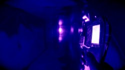 Project Three (2025) на PC