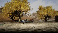 the Shadow of Swallow (2025) на PC