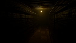 Unknown Host (2025) на PC