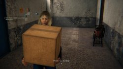 Floodlight (2025) на PC