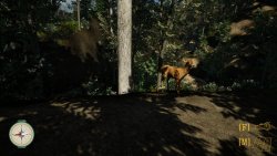 Pack It Out (2025) на ПК