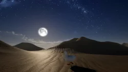 Ducky: The Curious (2025) на ПК