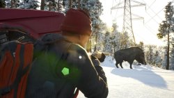 Scum (2025) на ПК