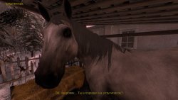 Tales Beyond The Tomb - White Silence (2025) на ПК