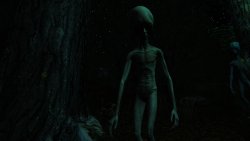 The Echo Paradox (2025) на ПК