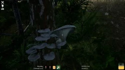 Mushroom Season (2025) на ПК