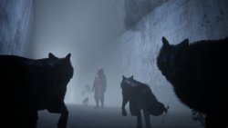 Veil of the Skies (Лицензия/2025) на ПК