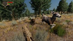 WolfQuest: Anniversary Edition (Лицензия/2025) на ПК