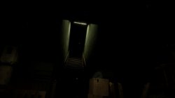 Forest 6174 (2025) - Repack от SeleZen на ПК