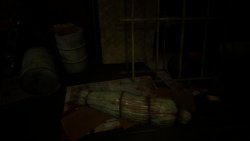 Forest 6174 (2025) - Repack от SeleZen на ПК