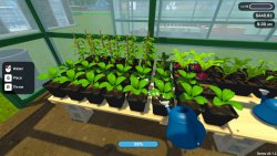 Plant Nursery Simulator (2025) - Лицензия