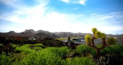 Tourist Bus Simulator (2025) - Repack от SeleZen