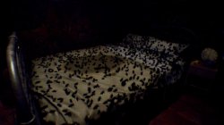 The Watching Woods: The Louse (2026)